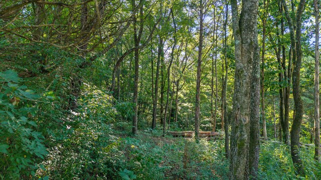 000 Kinzalow Cir, Sweetwater, TN 37874 - photo 10