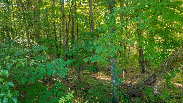 000 Kinzalow Cir, Sweetwater, TN 37874 - photo 12