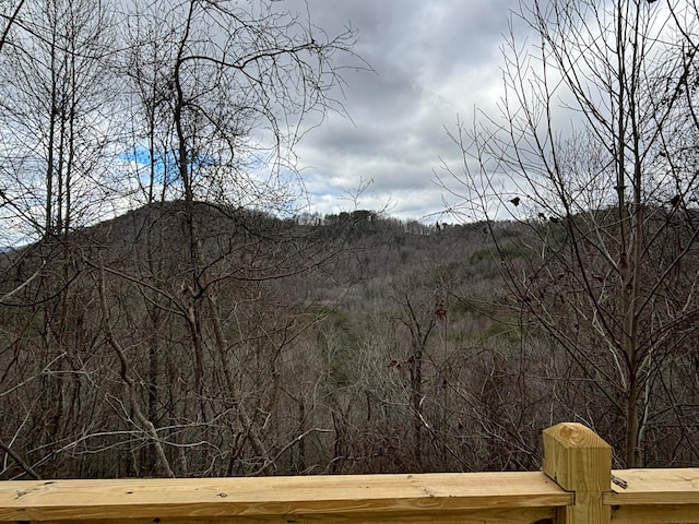 property view of mountains