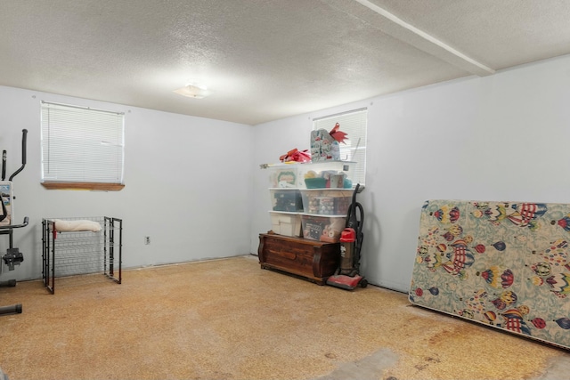 9712 Birchwood Pike, Harrison, TN 37341 - miscellaneous room with carpet and a textured ceiling