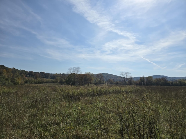 1379 Sand Mountain Rd, Ocoee, TN 37361 - photo 32
