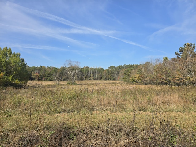 1379 Sand Mountain Rd, Ocoee, TN 37361 - photo 31