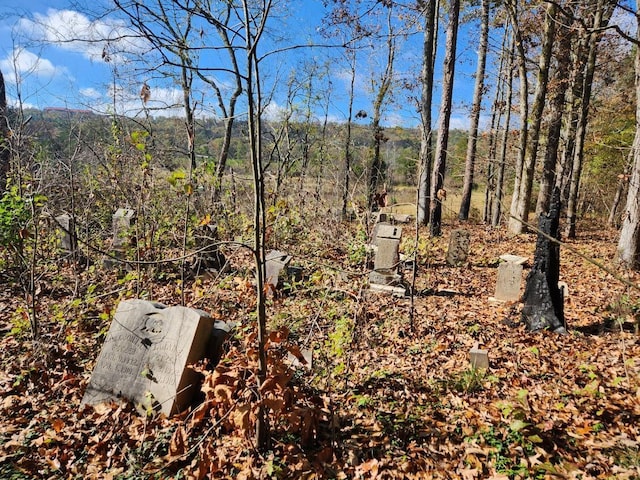 1379 Sand Mountain Rd, Ocoee, TN 37361