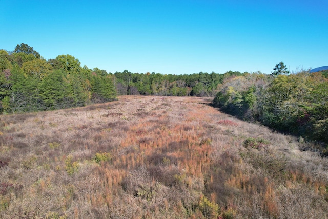 1379 Sand Mountain Rd, Ocoee, TN 37361 - photo 1