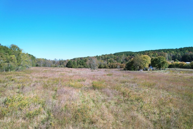 1379 Sand Mountain Rd, Ocoee, TN 37361 - photo 8