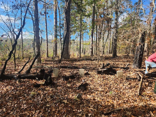 1379 Sand Mountain Rd, Ocoee, TN 37361