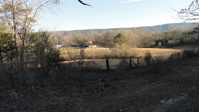 Listing photo 3 for 00 County Road 897, Etowah TN 37331