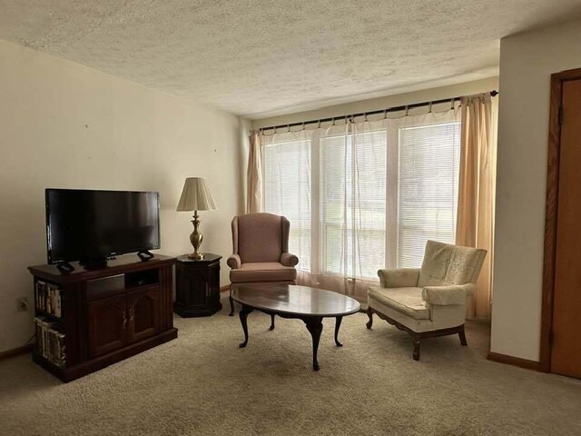 400 W Ridgecrest Dr, Kingston, TN 37763 - photo 5