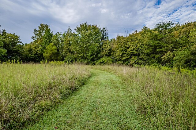 0 County Road 432, Englewood, TN 37329 - photo 11