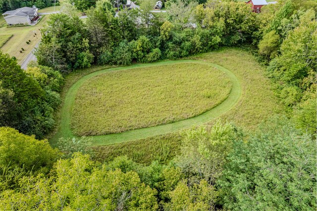 0 County Road 432, Englewood, TN 37329 - photo 13