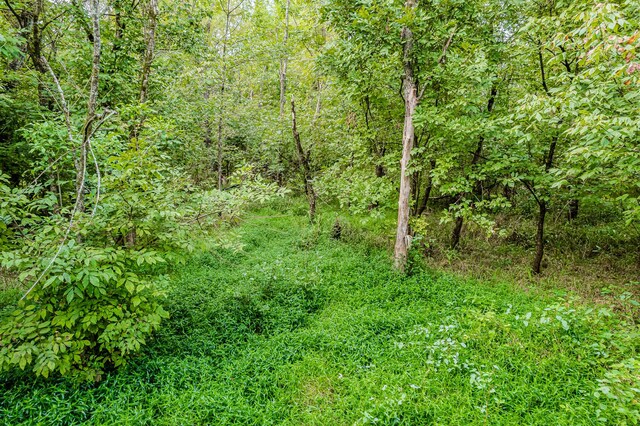 0 County Road 432, Englewood, TN 37329 - photo 14