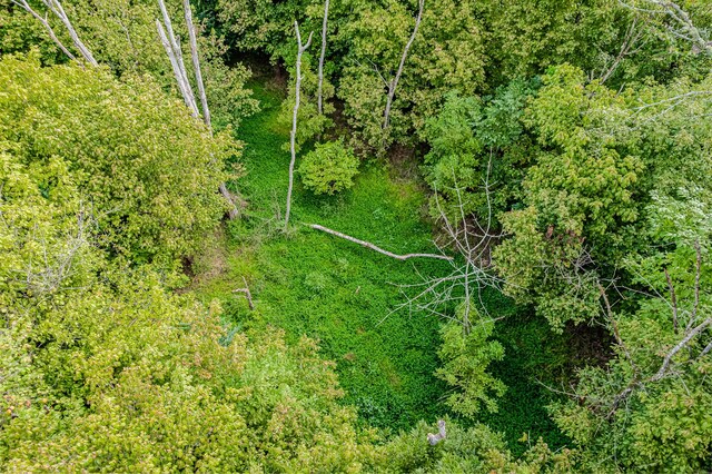 0 County Road 432, Englewood, TN 37329 - photo 16