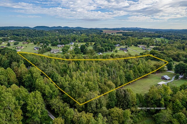 0 County Road 432, Englewood, TN 37329 - photo 6