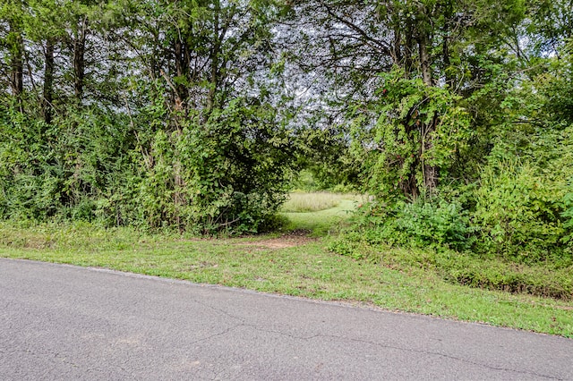 0 County Road 432, Englewood TN, 37329 land for sale