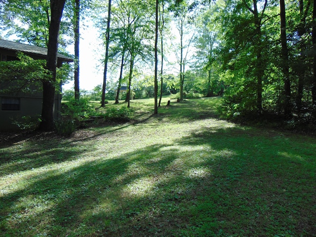 668 Mount Zion Rd NW, Georgetown, TN 37336 - view of grassy yard