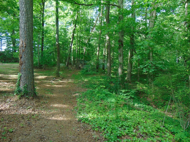 668 Mount Zion Rd NW, Georgetown, TN 37336 - view of woods