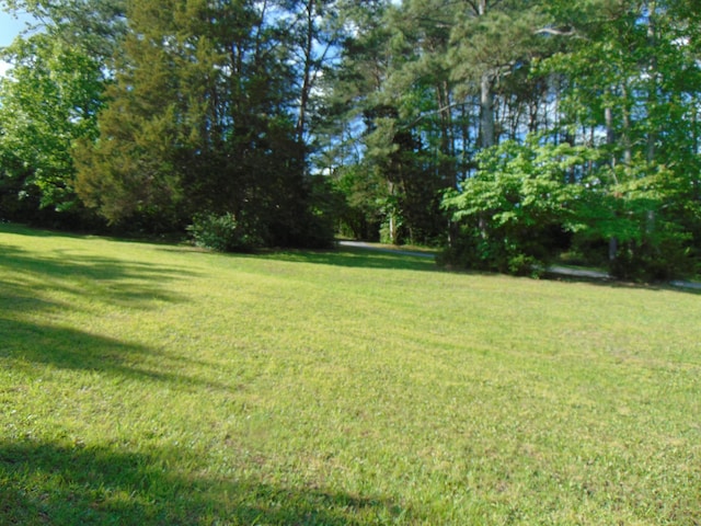 668 Mount Zion Rd NW, Georgetown, TN 37336 - view of green lawn