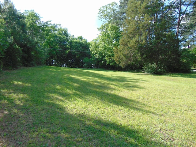 668 Mount Zion Rd NW, Georgetown, TN 37336 - view of green lawn