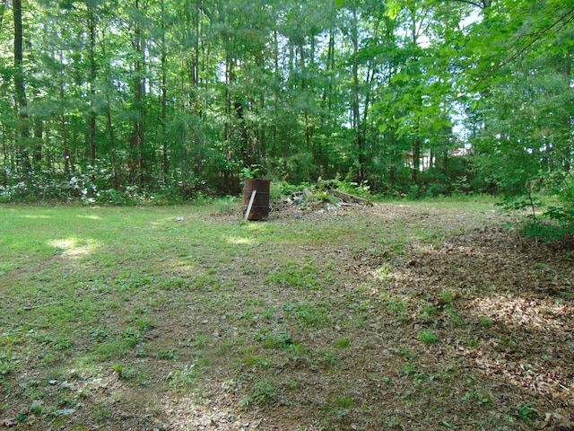 668 Mount Zion Rd NW, Georgetown, TN 37336 - view of yard