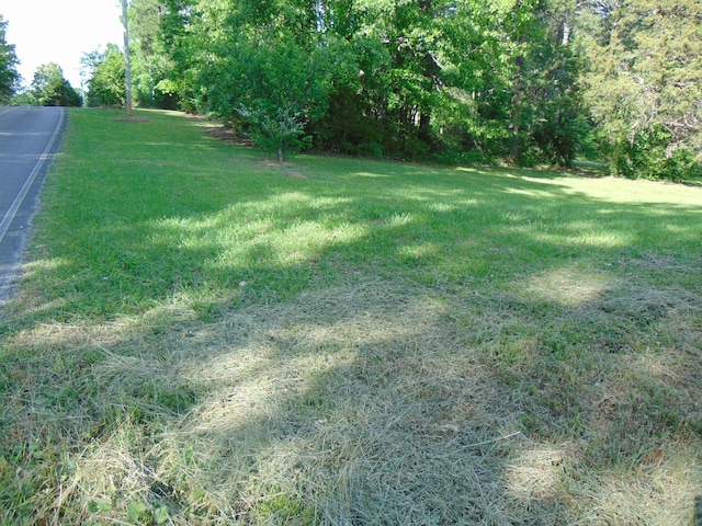 668 Mount Zion Rd NW, Georgetown, TN 37336 - view of grassy yard
