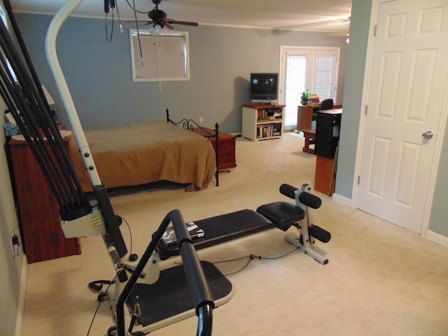 668 Mount Zion Rd NW, Georgetown, TN 37336 - exercise area featuring ceiling fan and carpet flooring