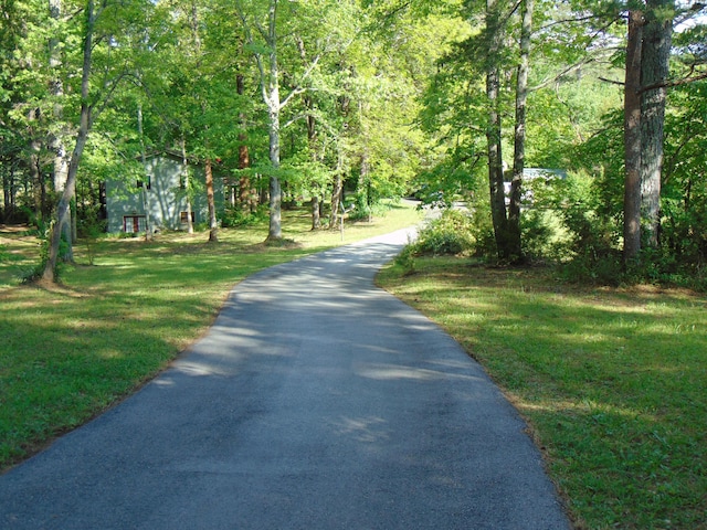 668 Mount Zion Rd NW, Georgetown, TN 37336 - view of asphalt road