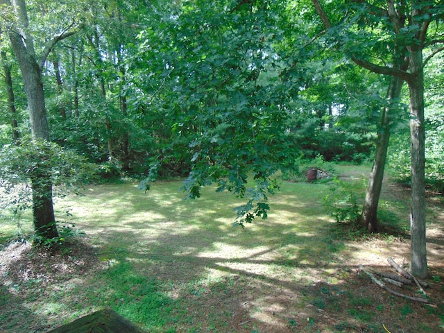 668 Mount Zion Rd NW, Georgetown, TN 37336 - view of yard
