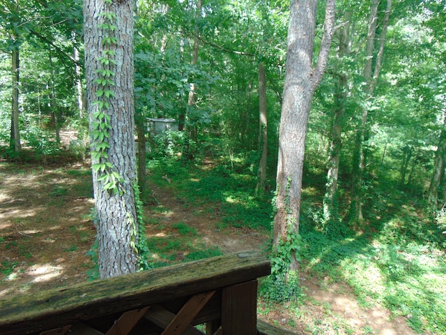 668 Mount Zion Rd NW, Georgetown, TN 37336 - view of yard with a wooded view