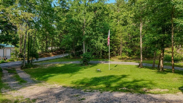 196 Ross Walker Rd, Decatur, TN 37322 - photo 5