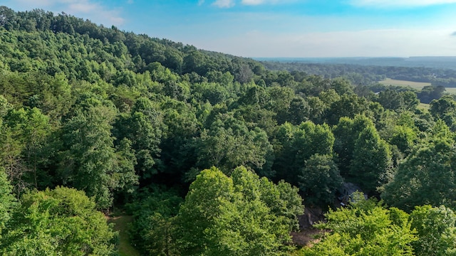 196 Ross Walker Rd, Decatur, TN 37322 - photo 3