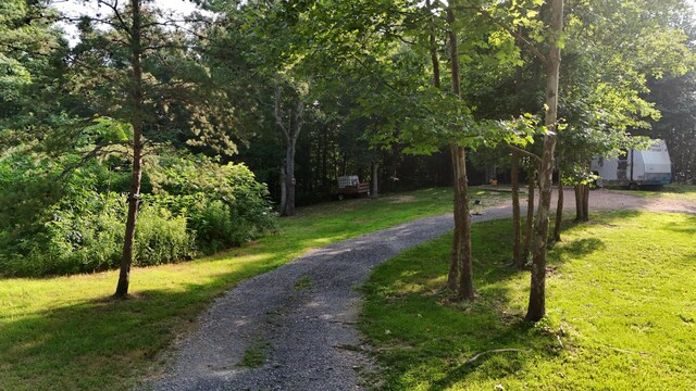 196 Ross Walker Rd, Decatur, TN 37322 - photo 7