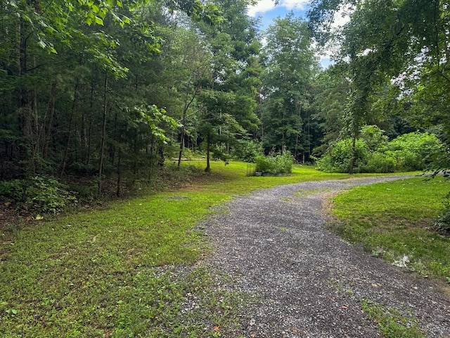 196 Ross Walker Rd, Decatur, TN 37322 - photo 6
