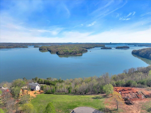 570 Hidden Forest Trl, Spring City, TN 37381