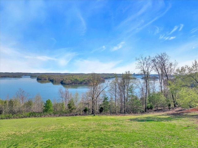 570 Hidden Forest Trl, Spring City, TN 37381