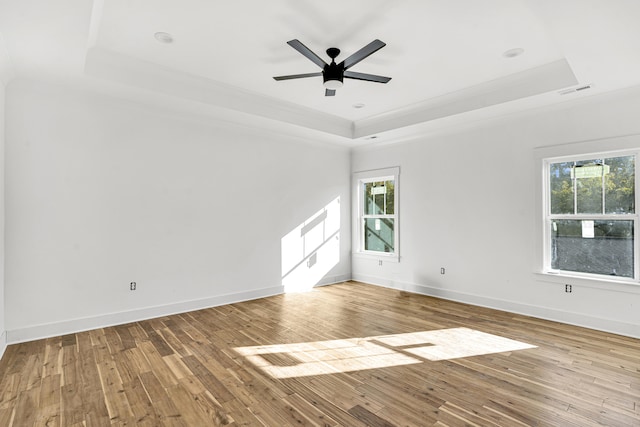 empty room with light hardwood / wood-style flooring, a raised ceiling, and a healthy amount of sunlight