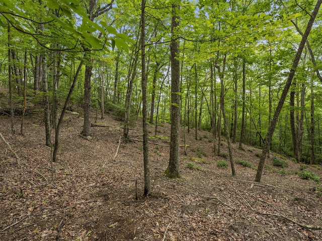 TRACT11 Eagle Rock Rd, Monteagle, TN 37356 - photo 34