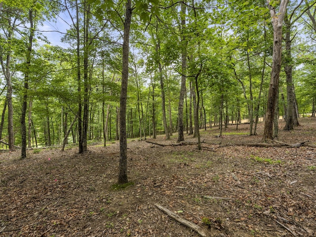 TRACT11 Eagle Rock Rd, Monteagle, TN 37356 - photo 19