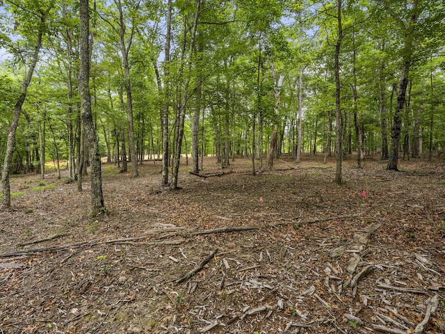 TRACT11 Eagle Rock Rd, Monteagle, TN 37356 - photo 18