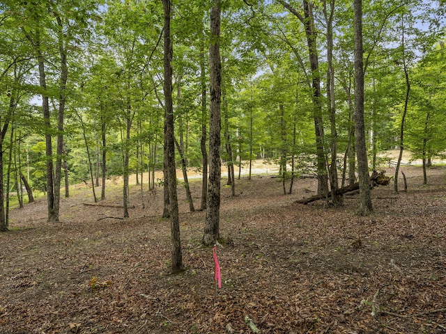 TRACT11 Eagle Rock Rd, Monteagle, TN 37356 - photo 33