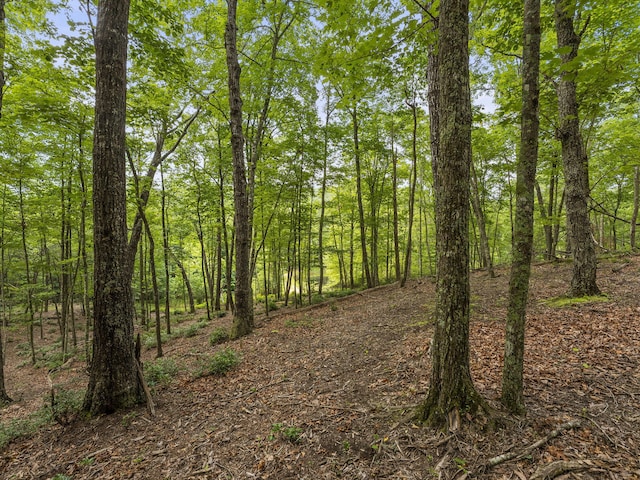 TRACT11 Eagle Rock Rd, Monteagle, TN 37356 - photo 36