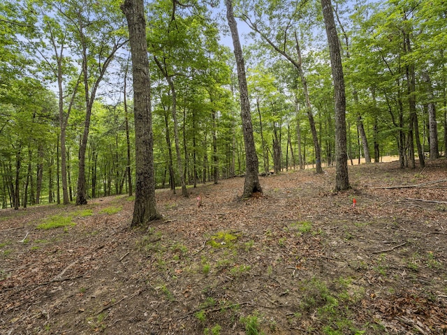 TRACT11 Eagle Rock Rd, Monteagle, TN 37356 - photo 20