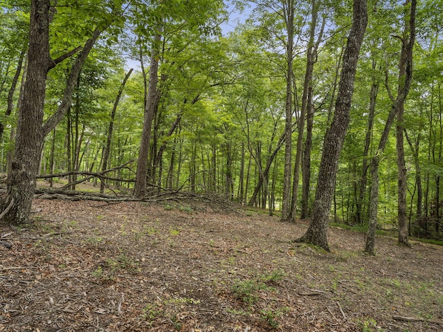 TRACT11 Eagle Rock Rd, Monteagle, TN 37356 - photo 21