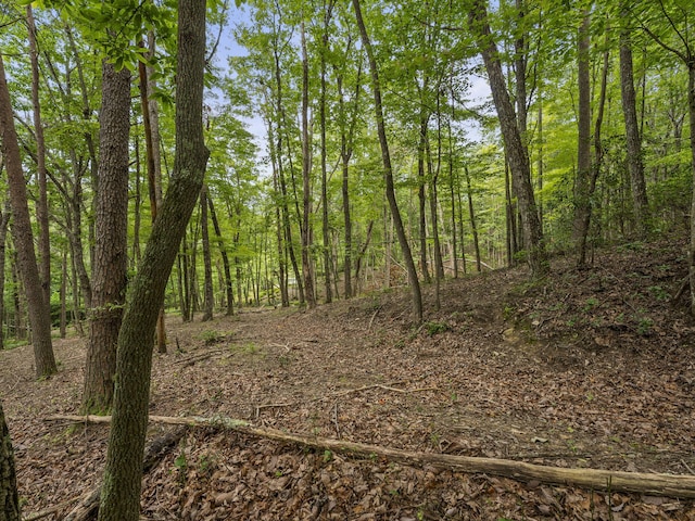 TRACT11 Eagle Rock Rd, Monteagle, TN 37356 - photo 25