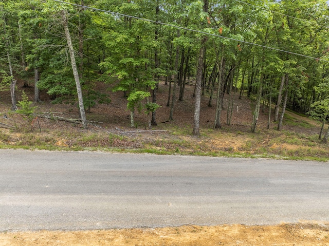 TRACT11 Eagle Rock Rd, Monteagle, TN 37356 - photo 31