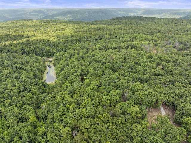 TRACT11 Eagle Rock Rd, Monteagle, TN 37356 - photo 5
