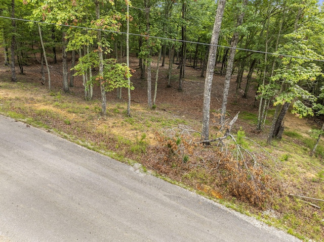 TRACT11 Eagle Rock Rd, Monteagle, TN 37356 - photo 12