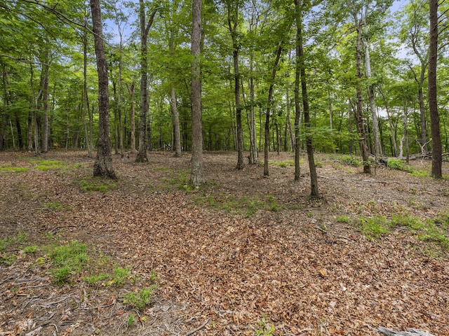 TRACT11 Eagle Rock Rd, Monteagle, TN 37356 - photo 17