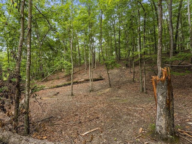 TRACT11 Eagle Rock Rd, Monteagle, TN 37356 - photo 35