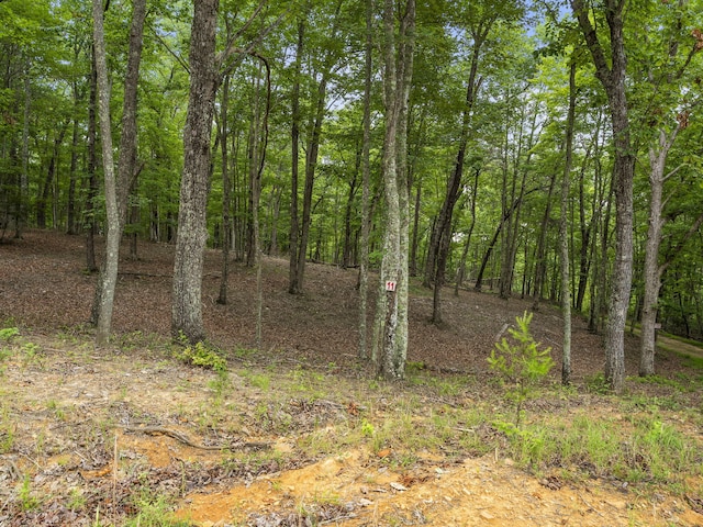 TRACT11 Eagle Rock Rd, Monteagle, TN 37356 - photo 32
