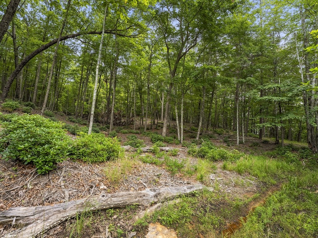 TRACT11 Eagle Rock Rd, Monteagle, TN 37356 - photo 23